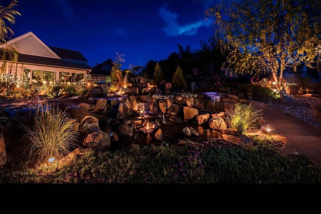Night landscape featuring NuWatt 12V LED lights